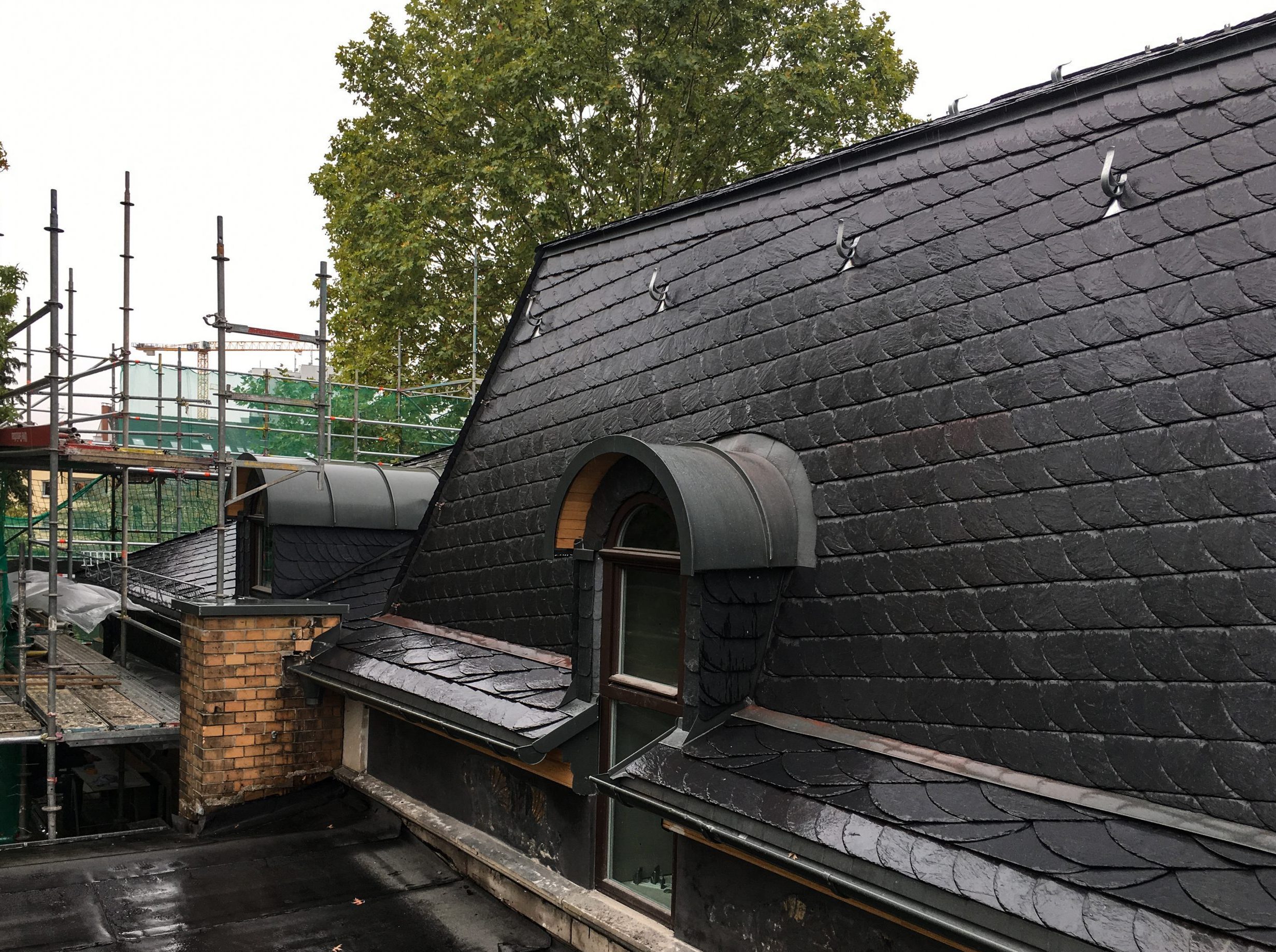 IMG 1933 scaled e1753794913623