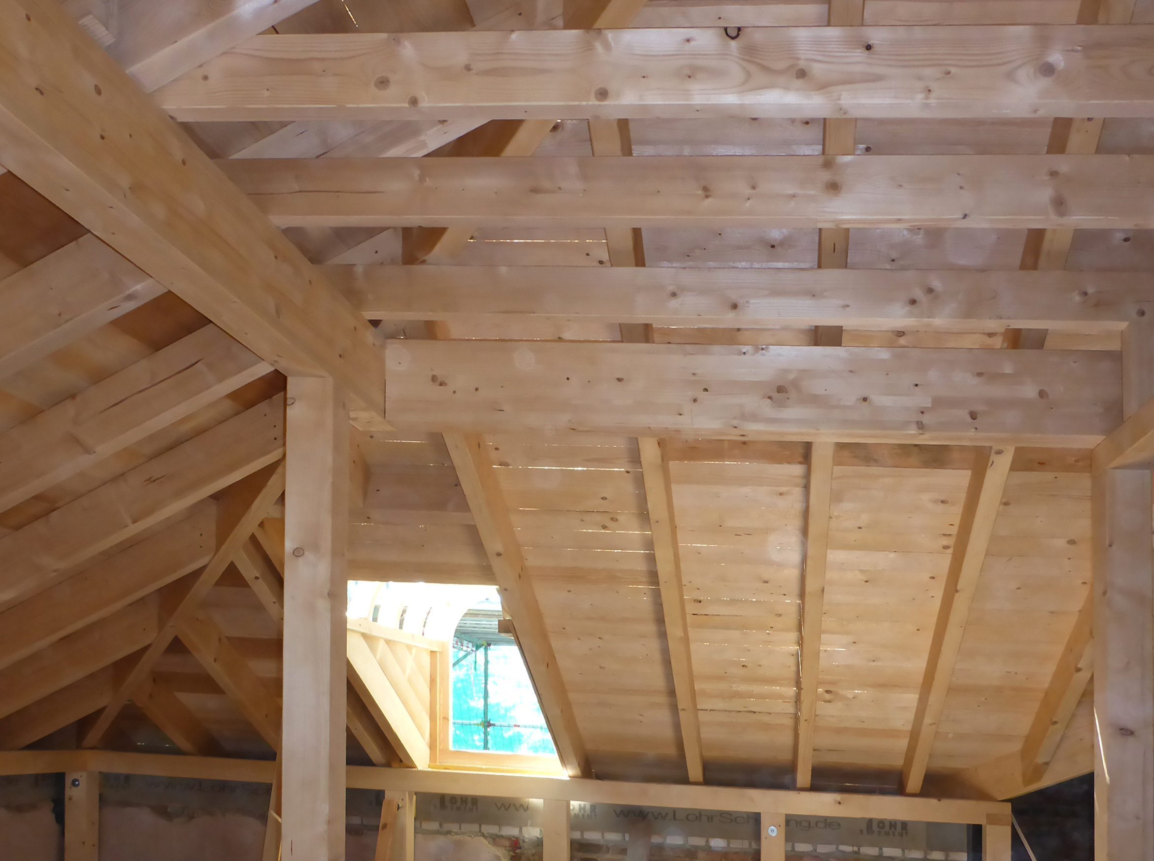 P1010626 e1753793816964